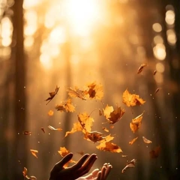 Meet your Posher, Grace - Picture 1 of 1